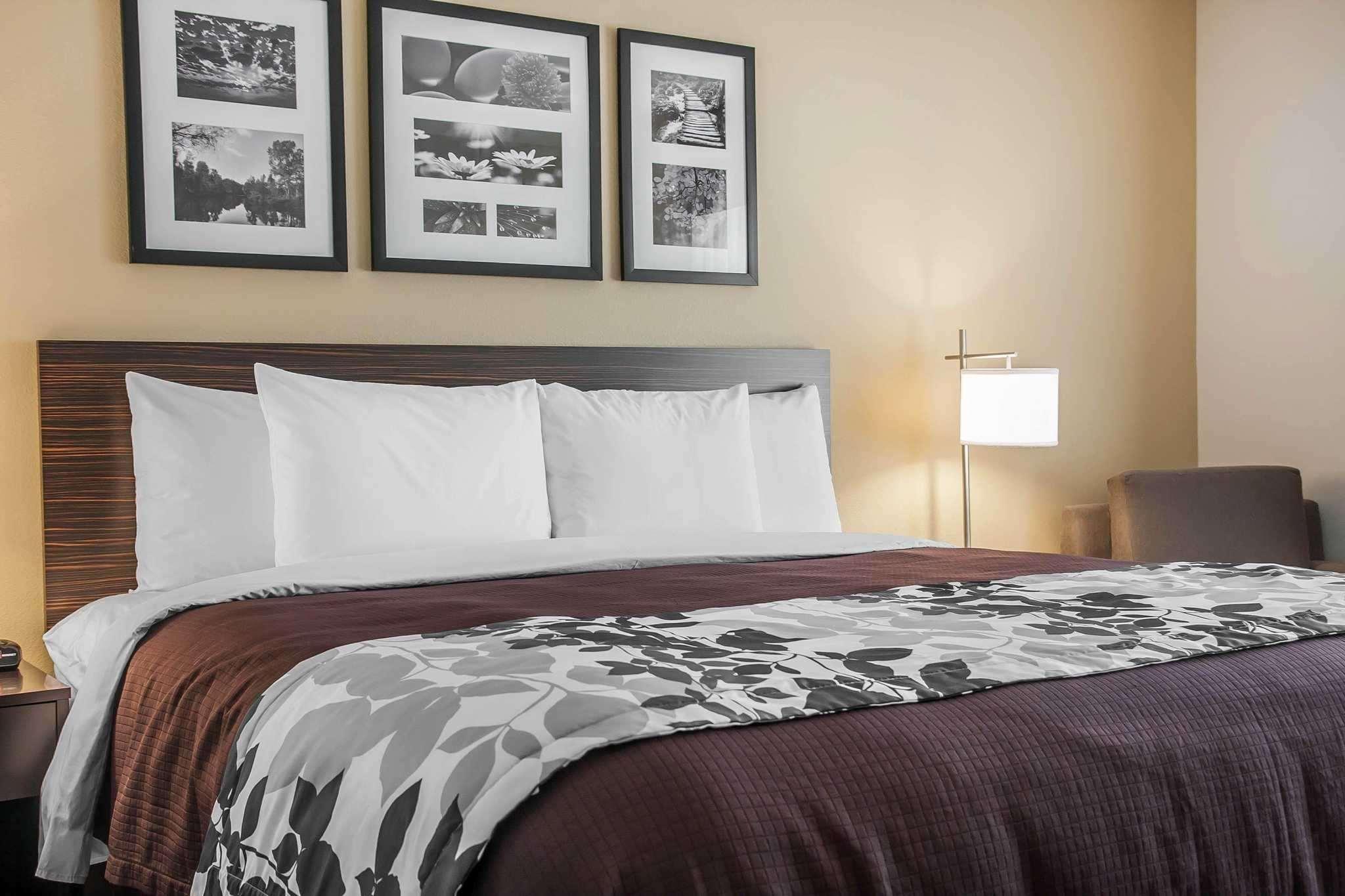 Sleep Inn & Suites דווילס לייק מראה חיצוני תמונה
