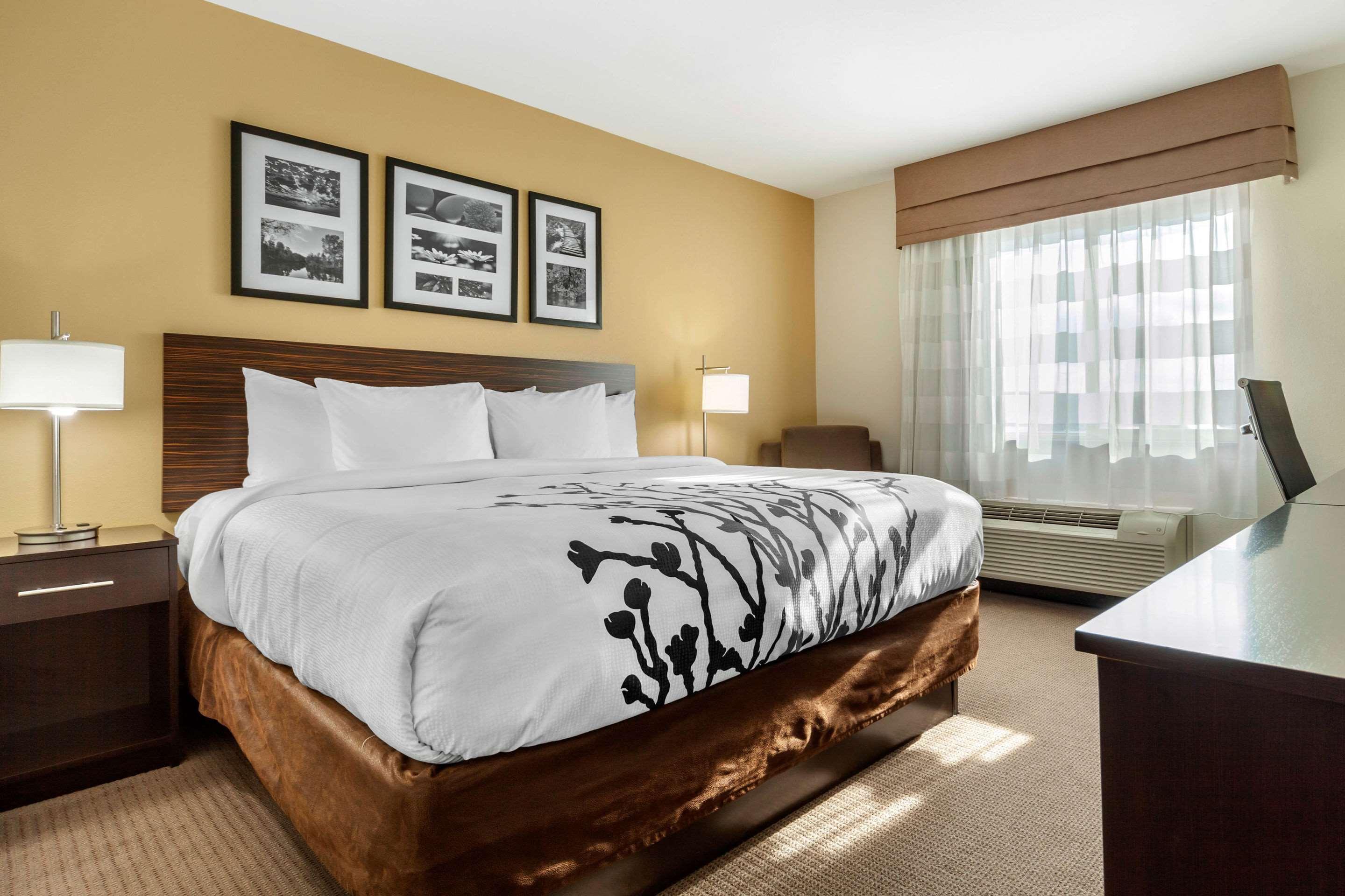 Sleep Inn & Suites דווילס לייק מראה חיצוני תמונה