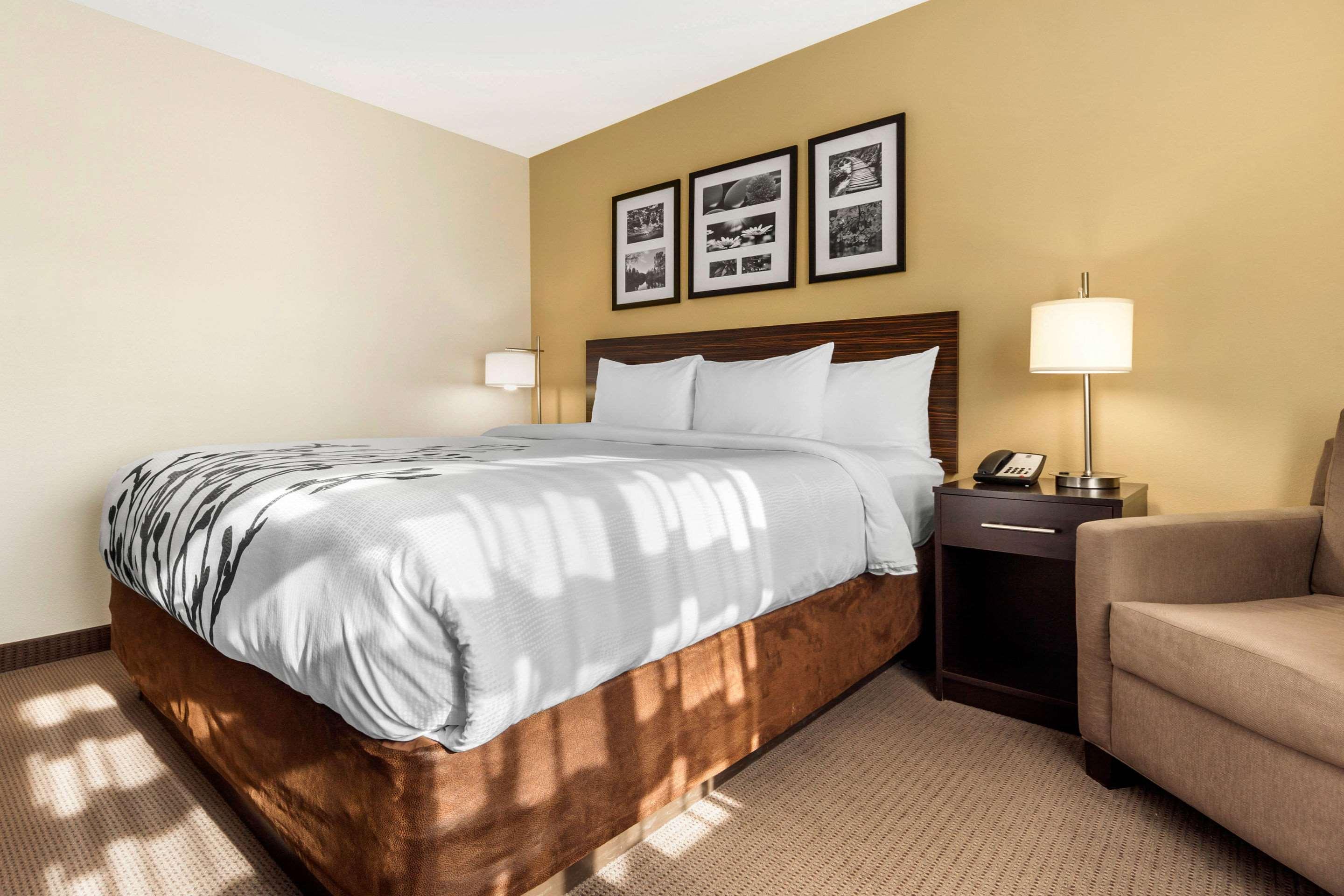 Sleep Inn & Suites דווילס לייק מראה חיצוני תמונה