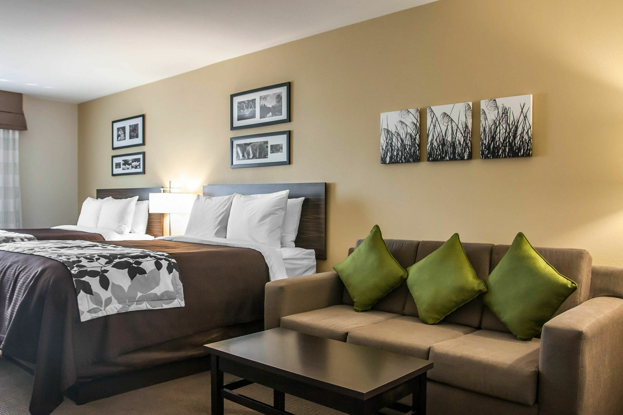 Sleep Inn & Suites דווילס לייק מראה חיצוני תמונה