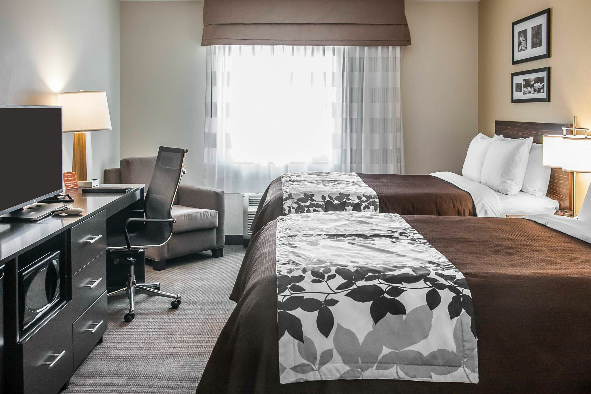 Sleep Inn & Suites דווילס לייק מראה חיצוני תמונה