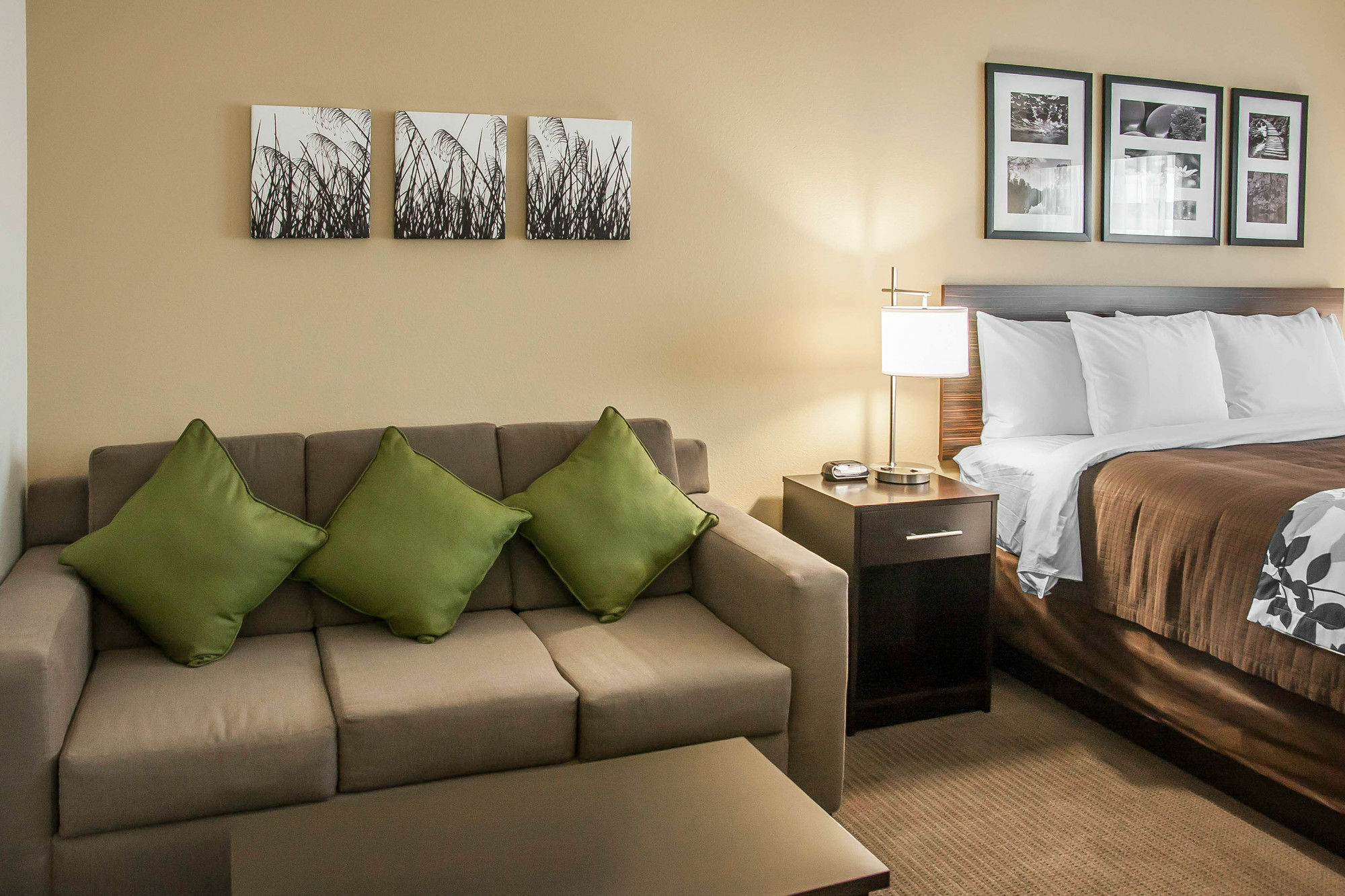 Sleep Inn & Suites דווילס לייק מראה חיצוני תמונה